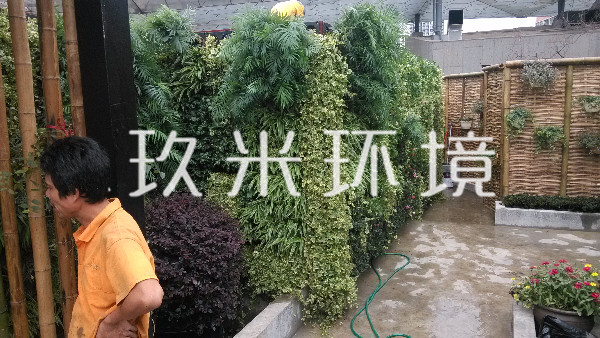 植物墻